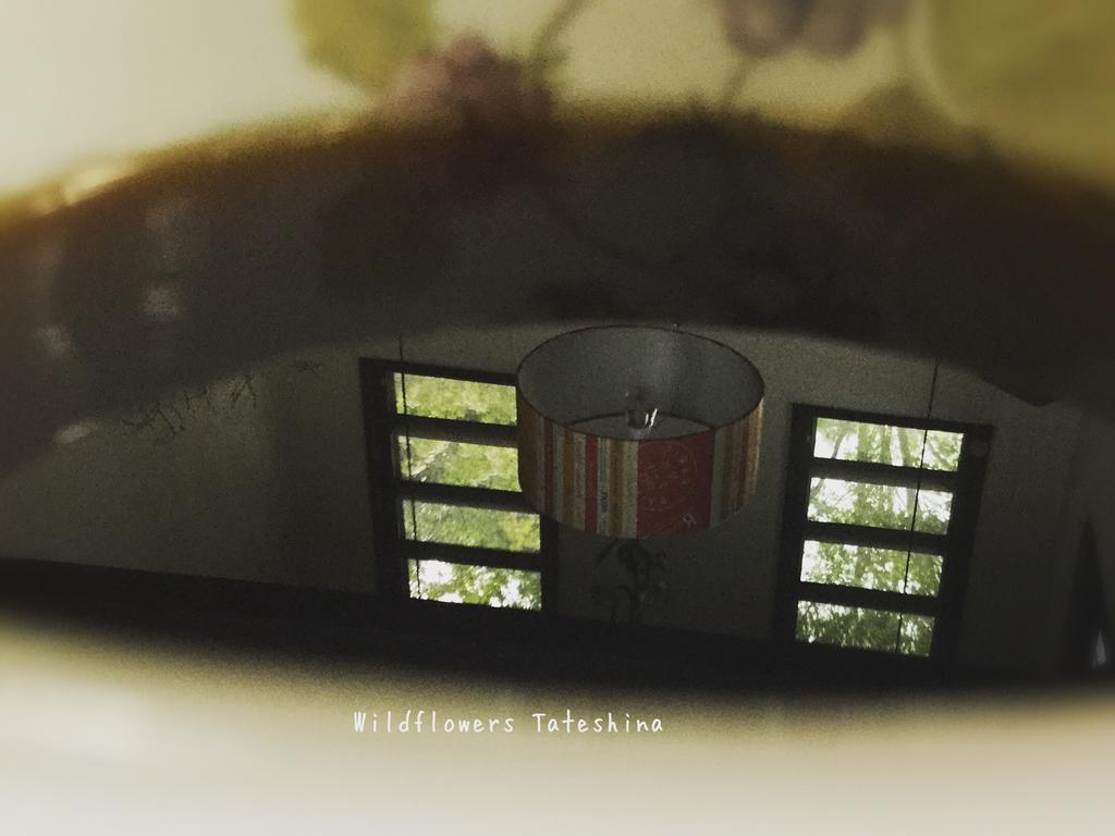 Pension Wildflowers Tateshina  Ngoại thất bức ảnh
