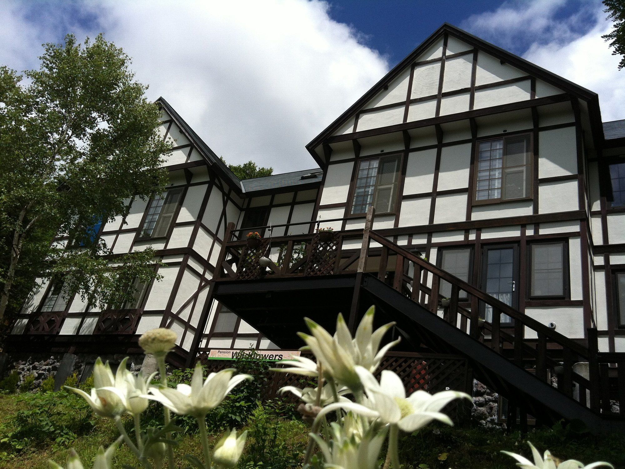 Pension Wildflowers Tateshina  Ngoại thất bức ảnh