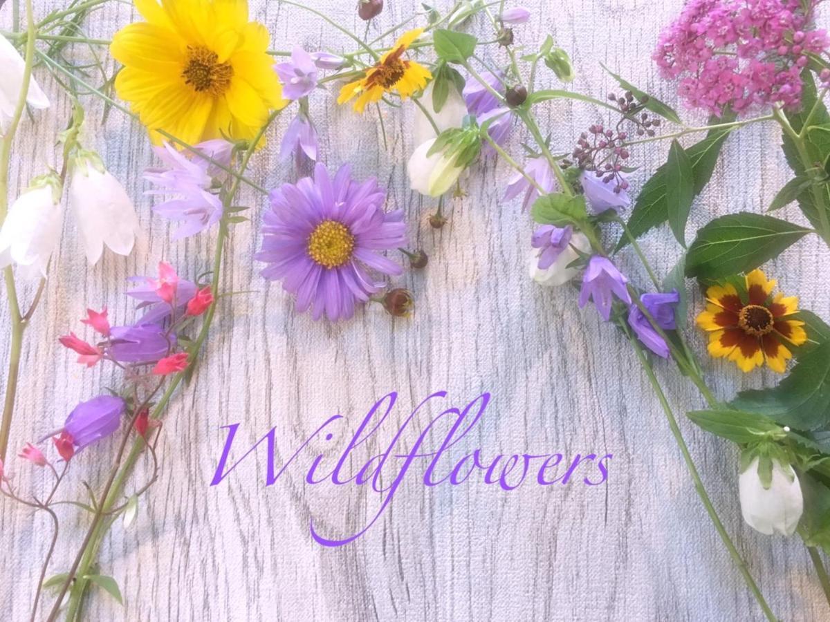 Pension Wildflowers Tateshina  Ngoại thất bức ảnh