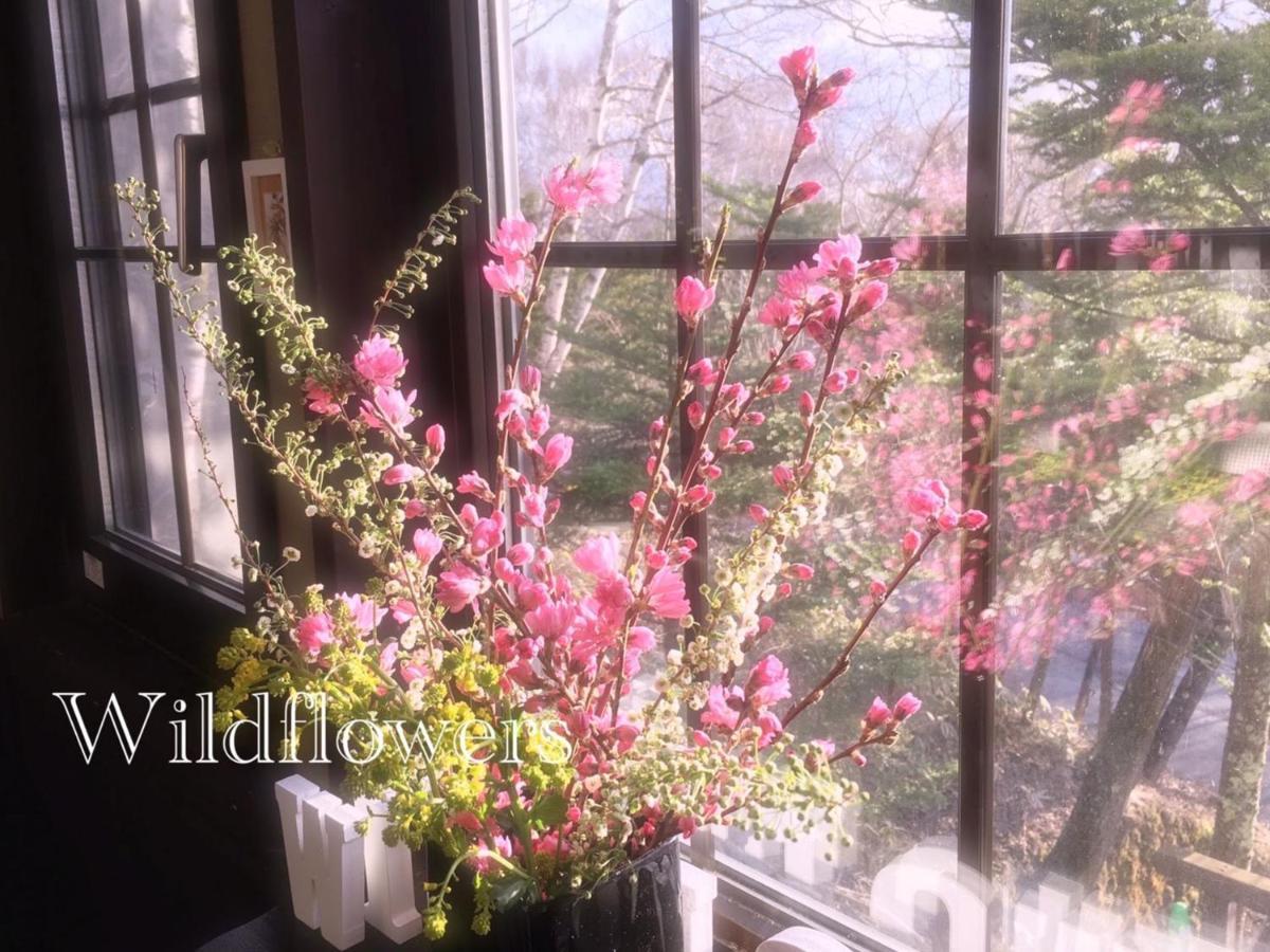 Pension Wildflowers Tateshina  Ngoại thất bức ảnh