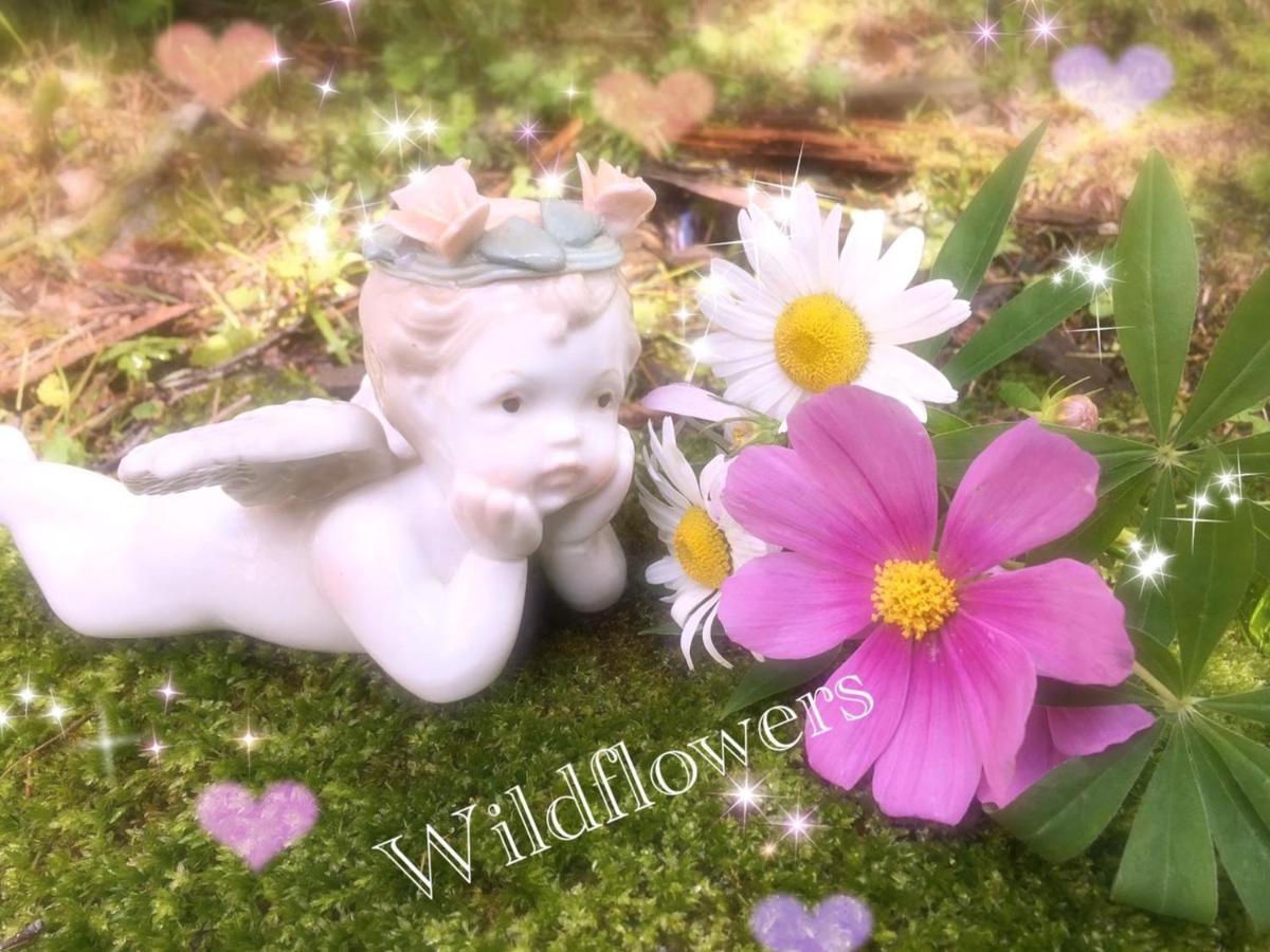 Pension Wildflowers Tateshina  Ngoại thất bức ảnh
